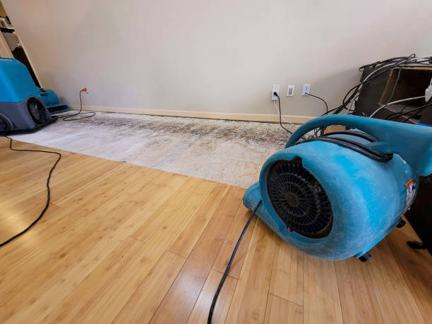 Professional Water Extraction technician working in Saint Martin, MN
